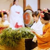 京都 十日ゑびす大祭 II
