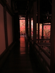 京都 永観堂 もみじの廊下