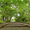 京都 毘沙門天堂 新緑の参道