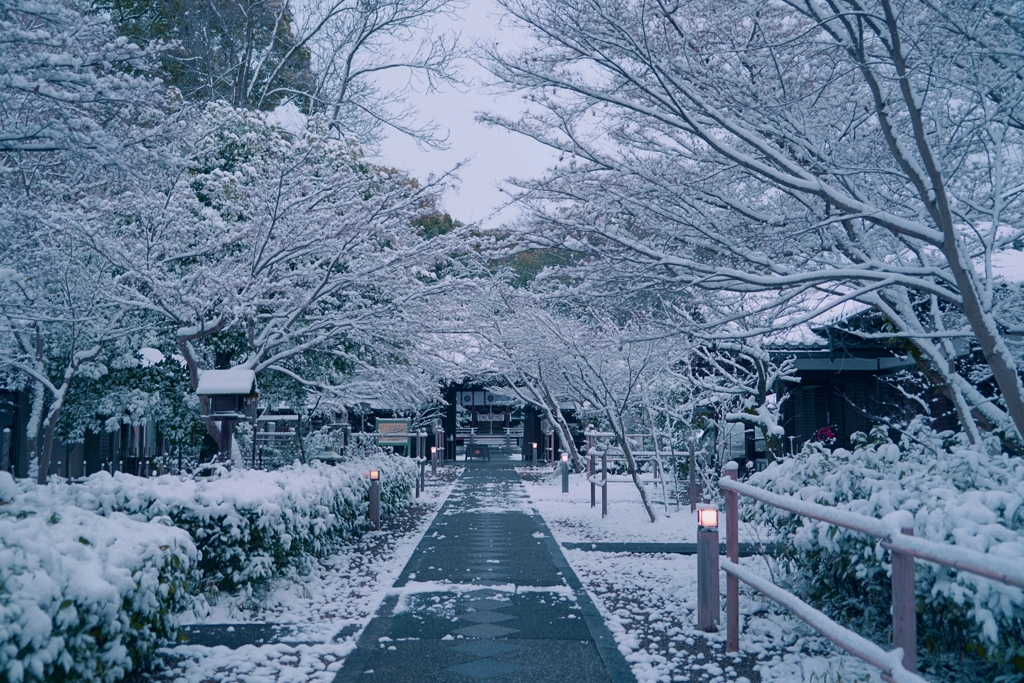 京都 梨木神社 雪化粧