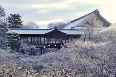 京都 東福寺 雪の朝