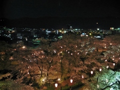 岡山 津山 鶴山公園 夜桜