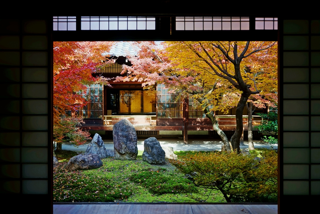 京都 建仁寺 庭園の粋