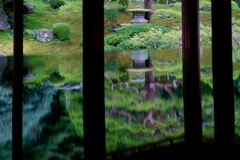 滋賀 旧竹林院 夏の床もみじ