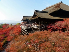 京都 秋の清水舞台