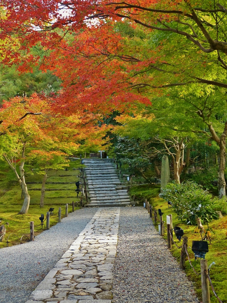 京都 高台寺 錦秋の階段