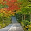 京都 高台寺 錦秋の階段