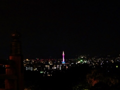 京都 ピンク色の京都タワー