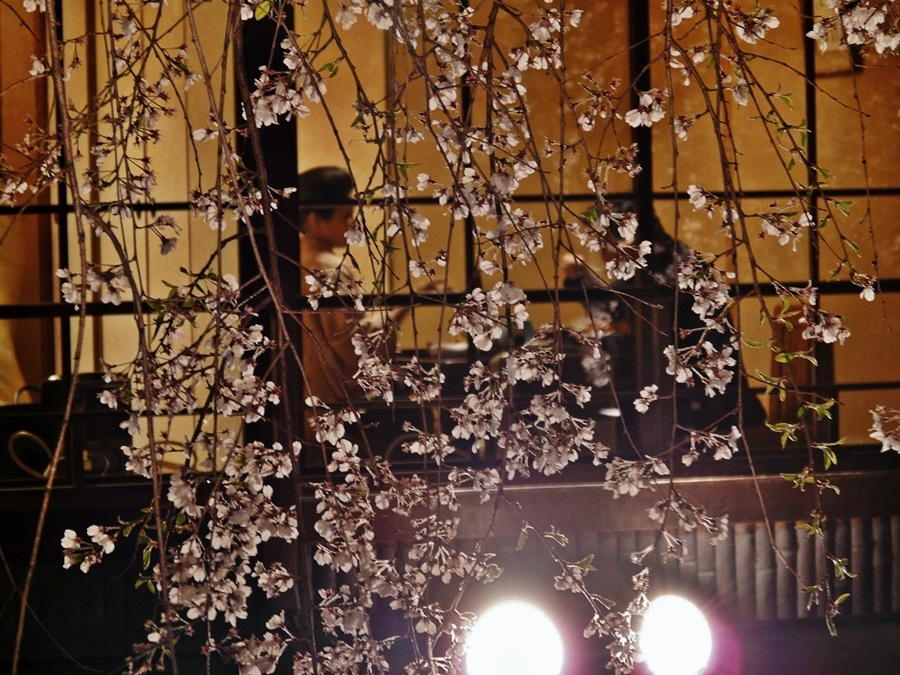 京都 祇園風情