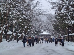 札幌 今年の初詣
