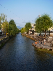 京都 白川の水辺