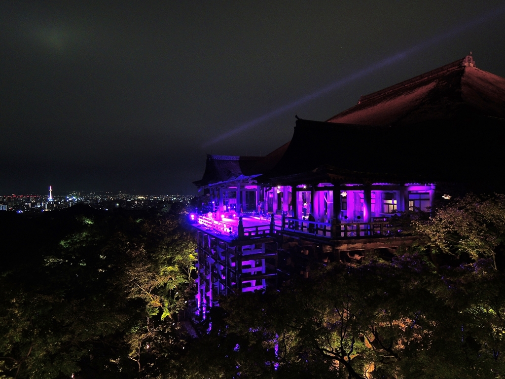 京都 清水寺 ピンクイルミネーション