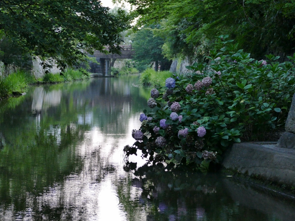 滋賀 近江八幡 八幡堀への再訪 II