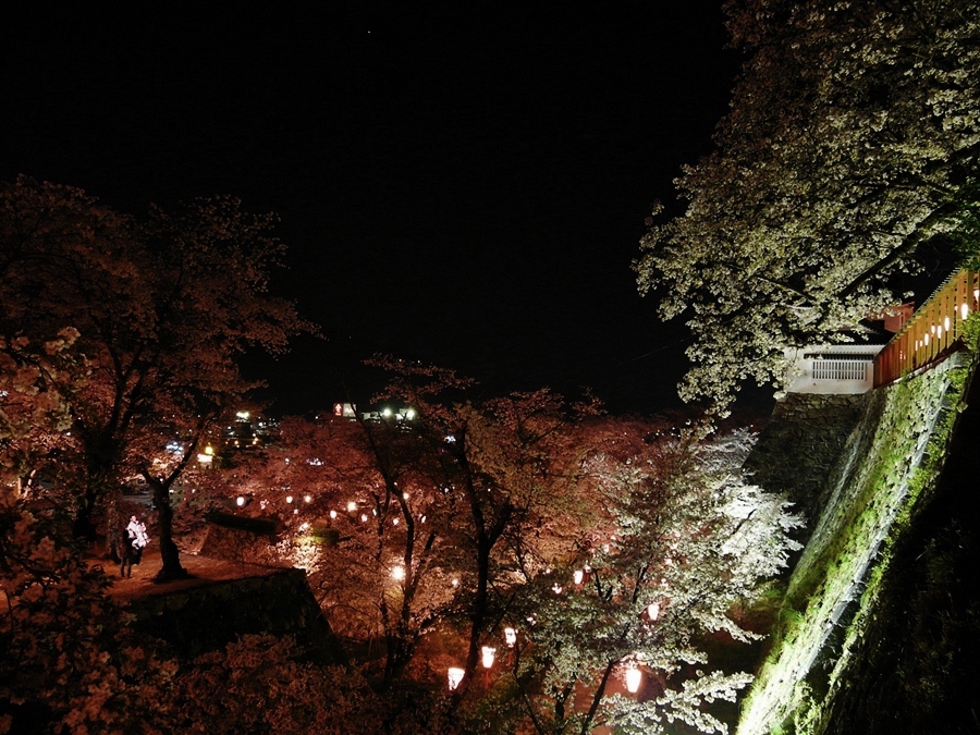 岡山 津山 津山城跡 夜桜