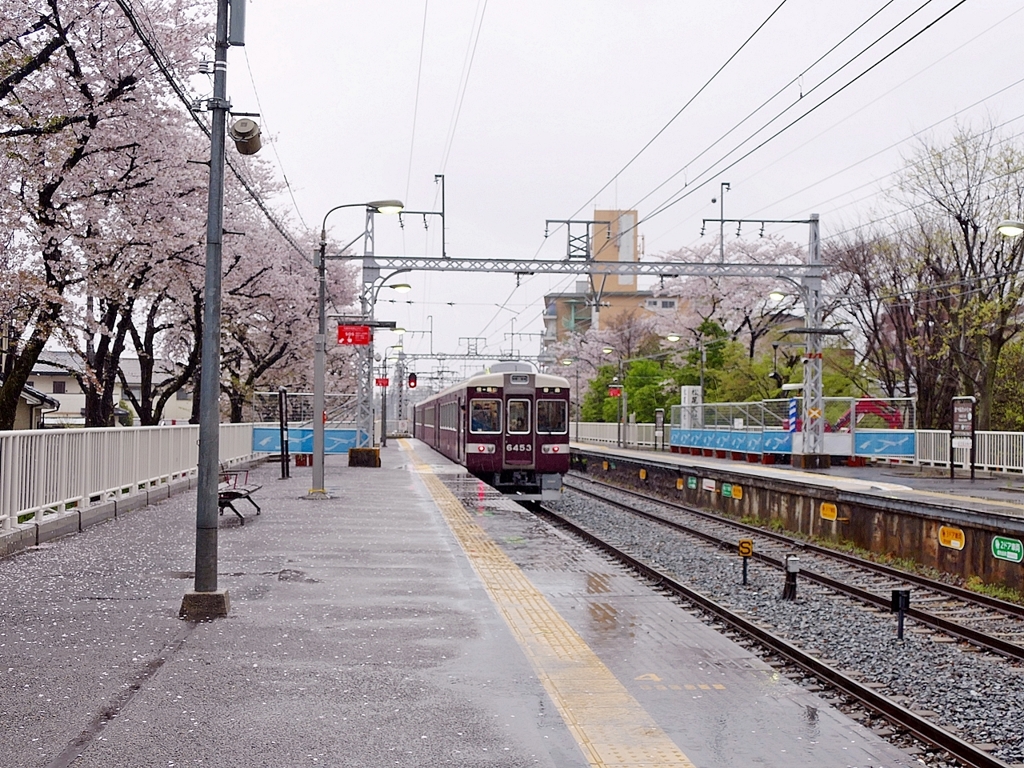 京都 松尾大社 雨の中の電車