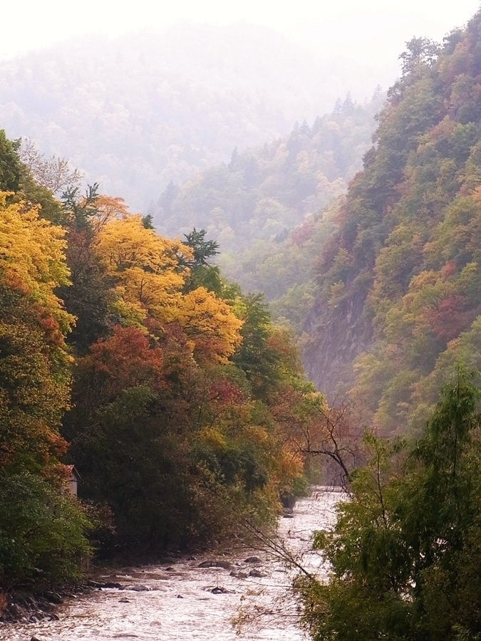 札幌 定山渓 秋