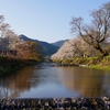 京都 大原 川辺の春