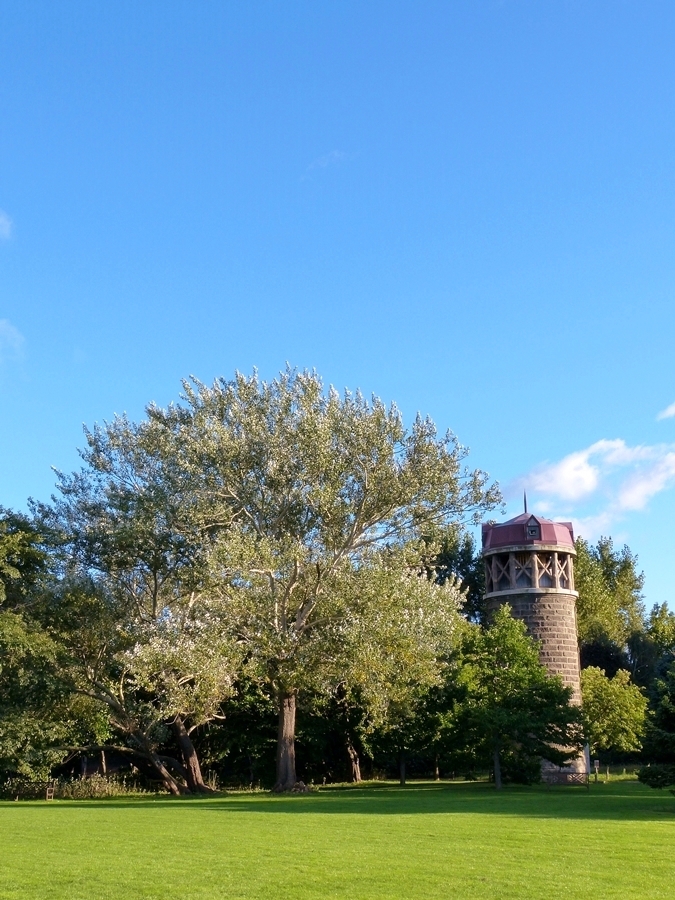 札幌 初秋 百合が原公園
