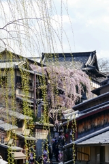 京都 産寧坂の春色