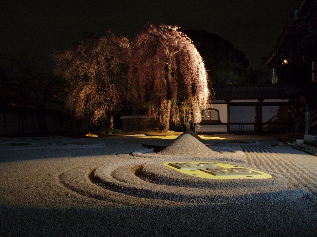京都 高台寺 夜桜