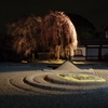 京都 高台寺 夜桜