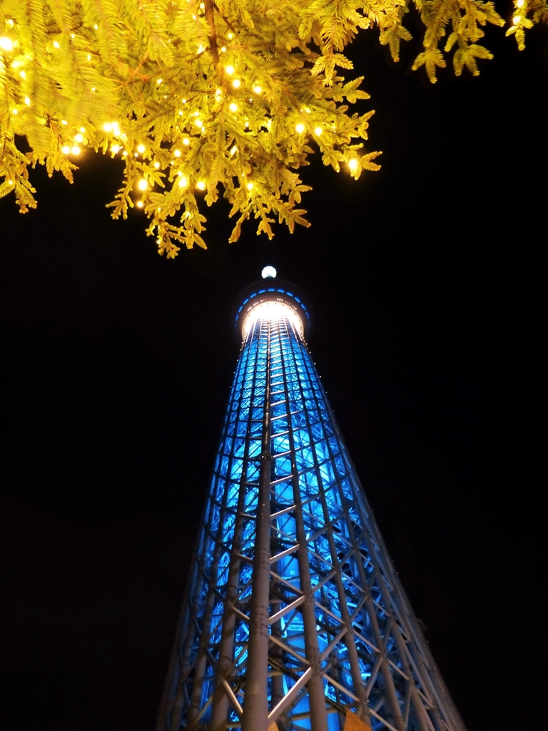 東京 夜の黄葉とスカイツリー