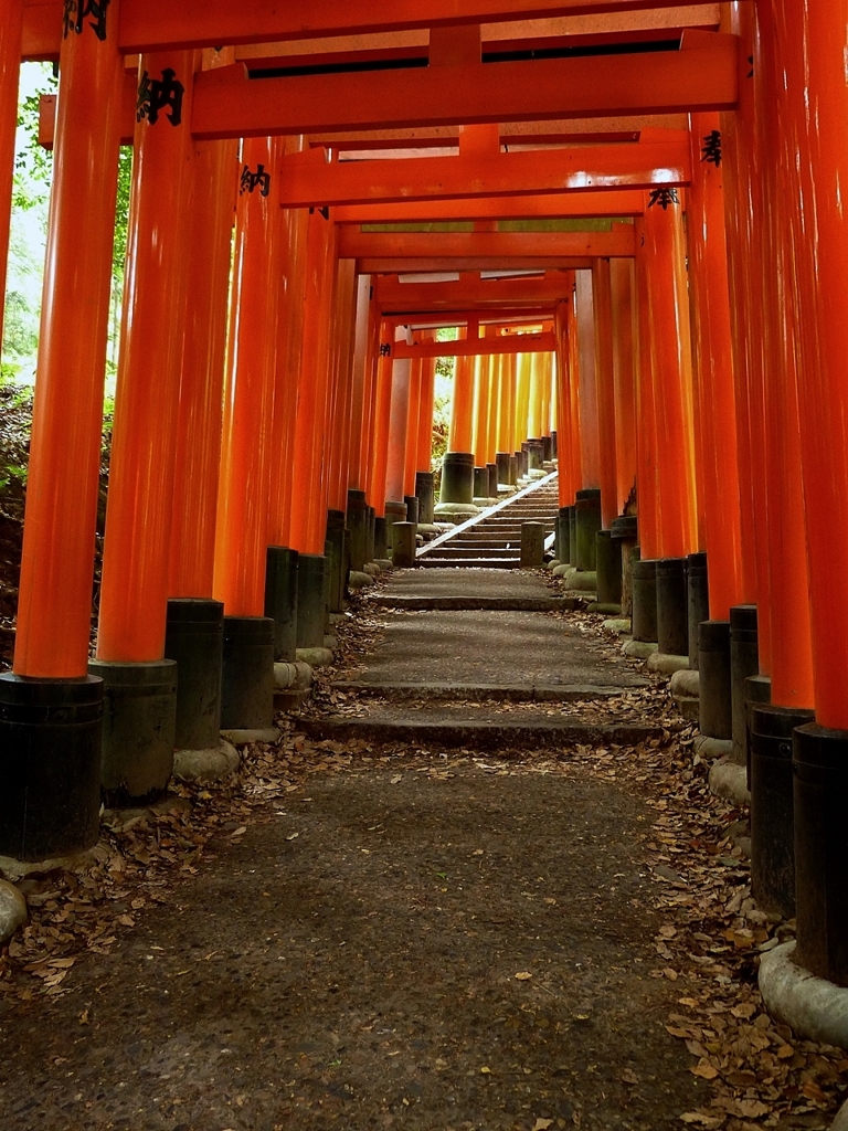 京都 伏見稲荷 鳥居の物語