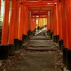 京都 伏見稲荷 鳥居の物語
