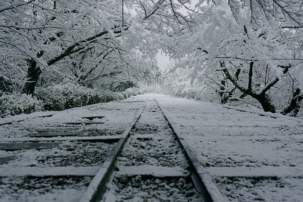 京都 蹴上の雪景色