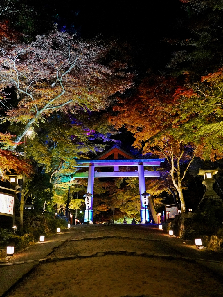 大津　日吉大社　幻想的な山王鳥居