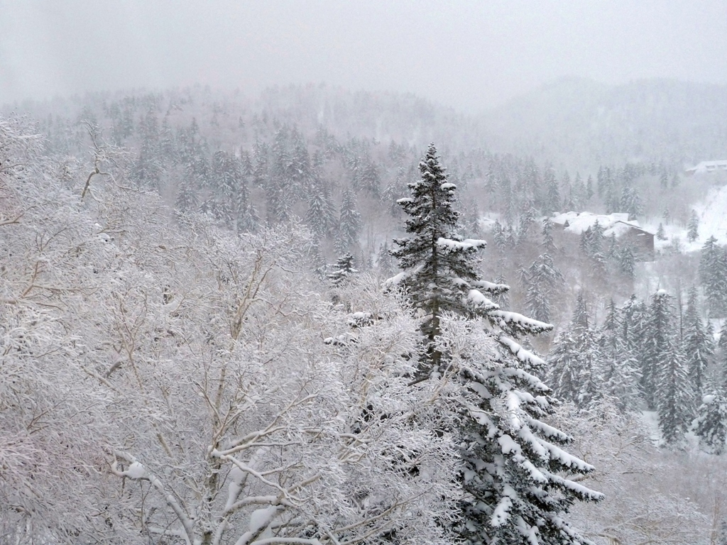 北海道 大雪山の冬景色