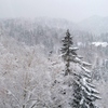北海道 大雪山の冬景色