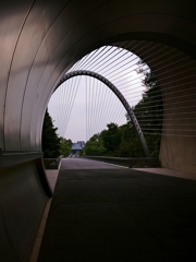 滋賀 Miho Museum III