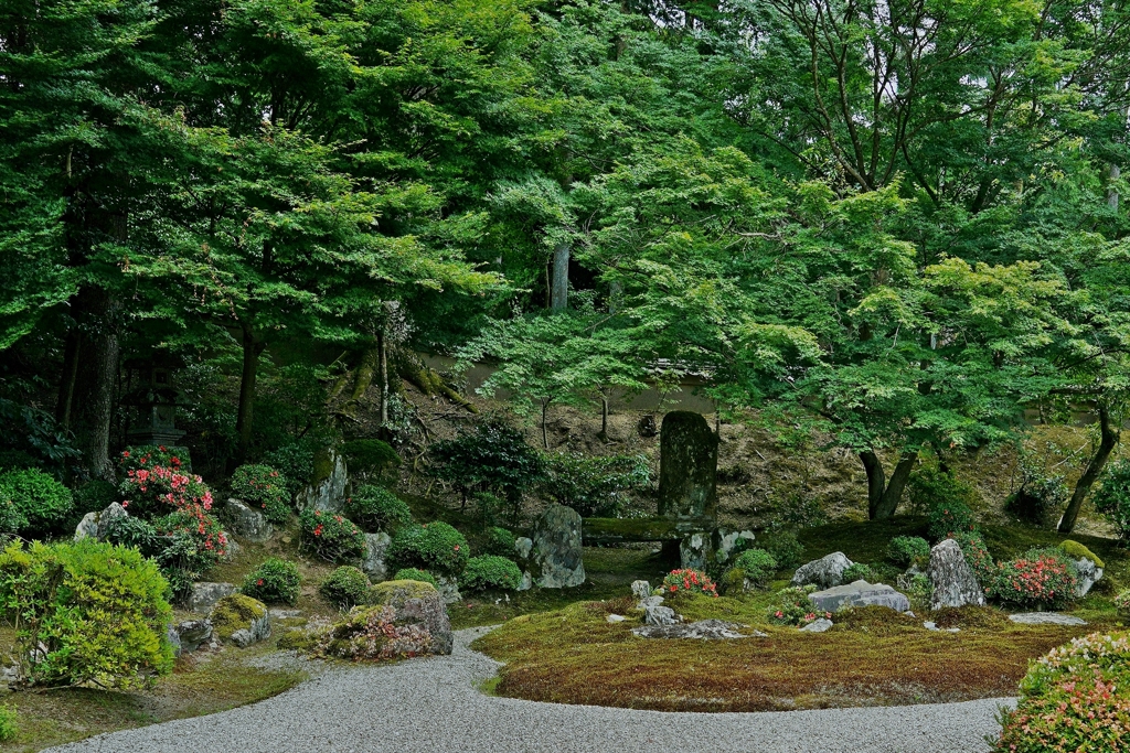 京都 曼殊院 枯山水庭園