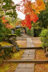 京都 神光院 秋の庭院