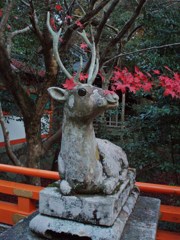 京都 秋限定のお飾り