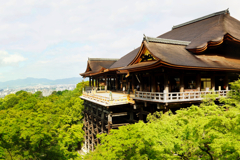 京都 清水寺 修復さらた舞台の初新緑