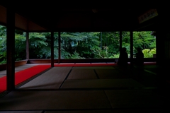 京都 宝泉院 夏の縁側庭園
