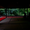 京都 宝泉院 夏の縁側庭園