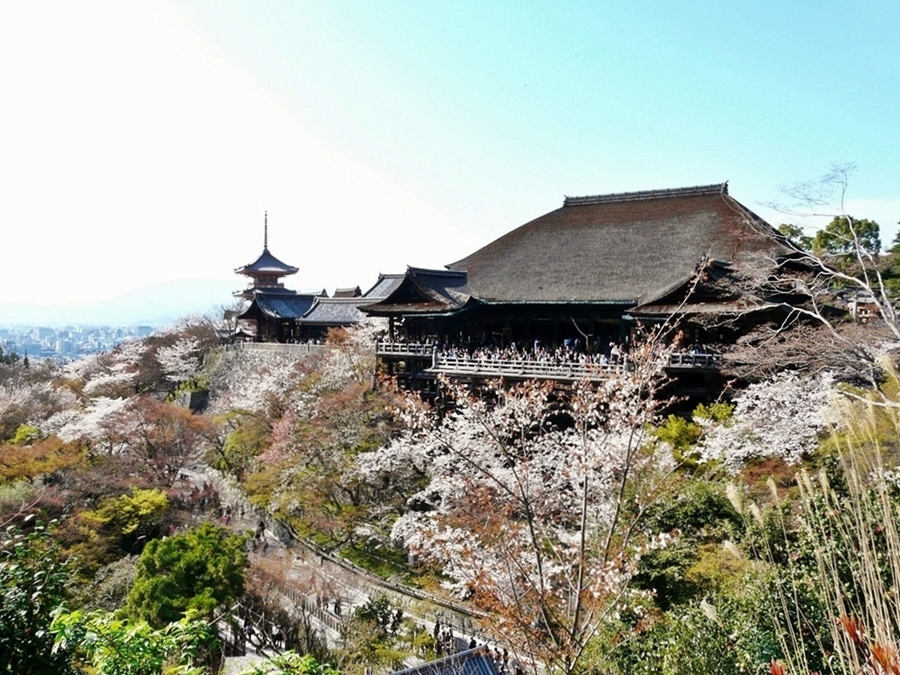 京都 清水寺 桜