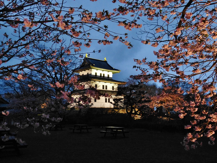 北海道 松前城 夜桜