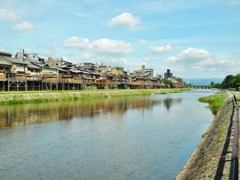 京都　鴨川　水辺風情