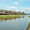 京都　鴨川　水辺風情