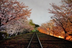 京都 蹴上鉄道の輝き