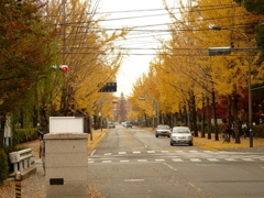 岡山 岡大