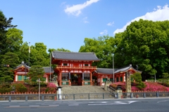 京都 八坂神社 疫病退散願い