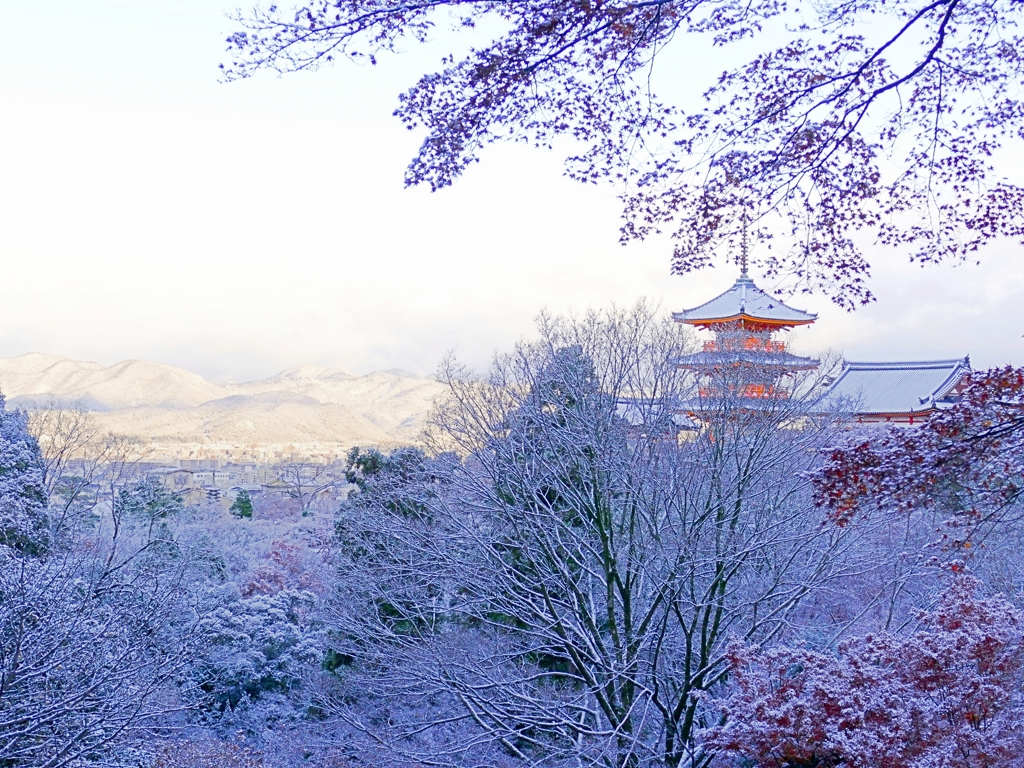 京都 清水寺 雪と紅葉の共演 II