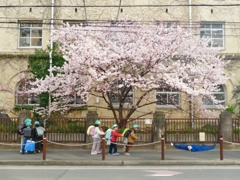 京都 百年変えぬ風景