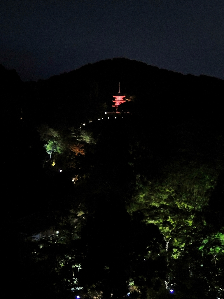 京都 清水寺 光の軌跡