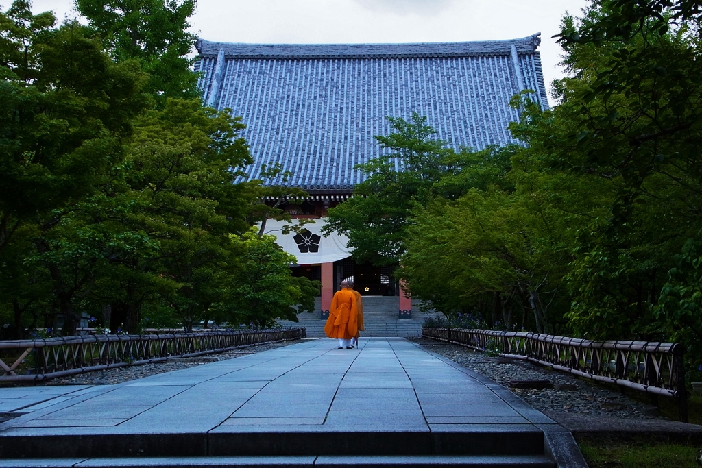 京都 早朝の智積院